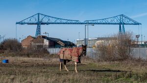 A horse in a blanket on a wasteland in front of industrial buildings and a large metal truss bridge