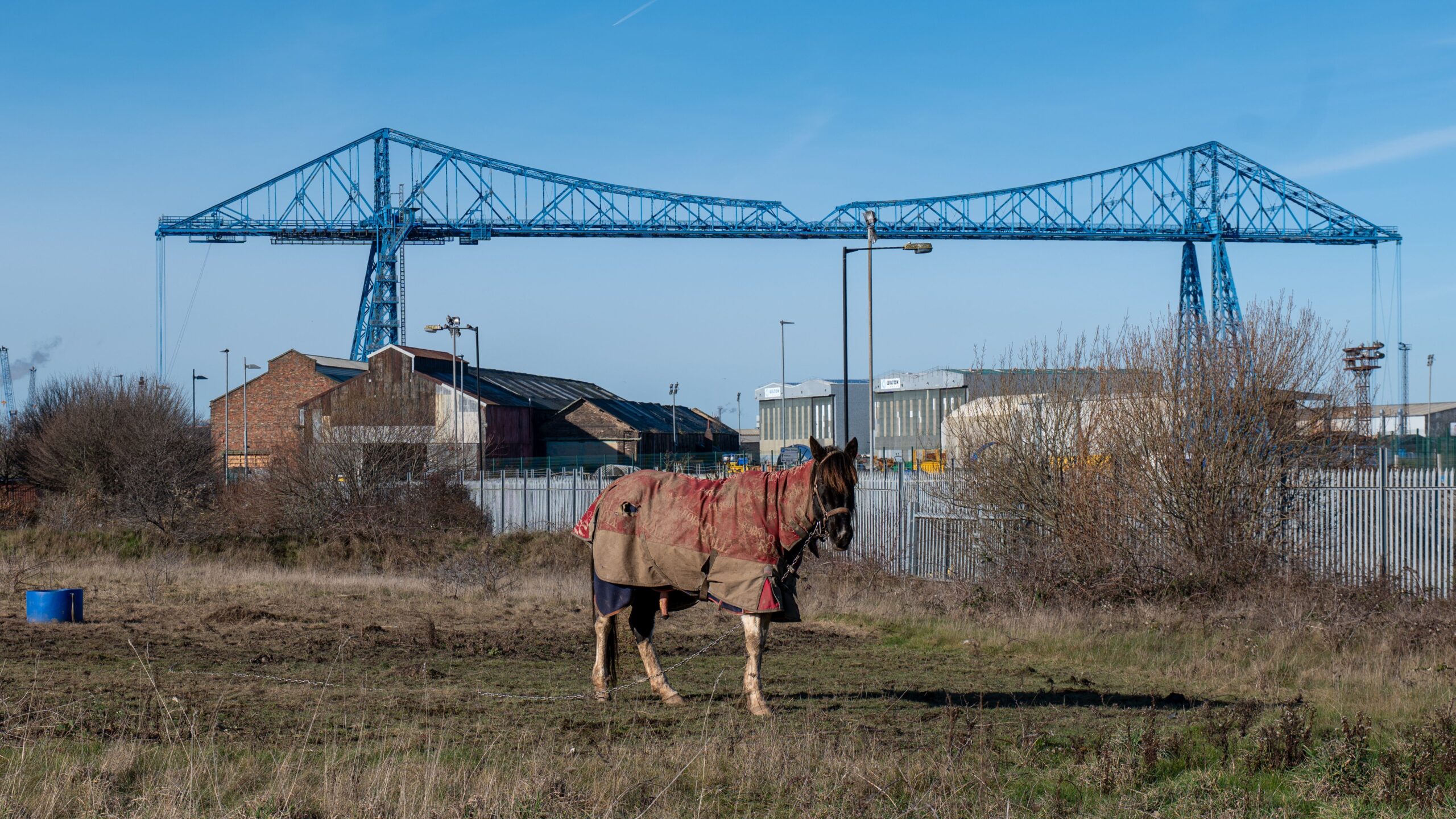 A horse in a blanket on a wasteland in front of industrial buildings and a large metal truss bridge